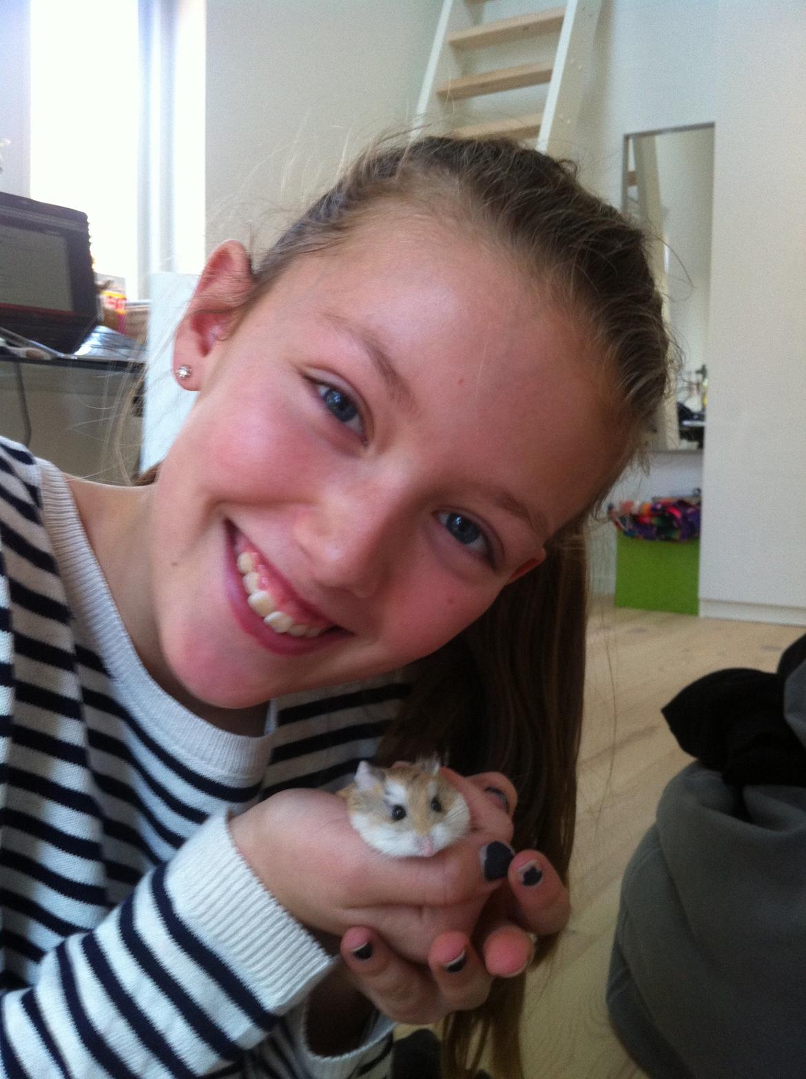 Dværghamster Ole - Lidt mast!:) billede 5