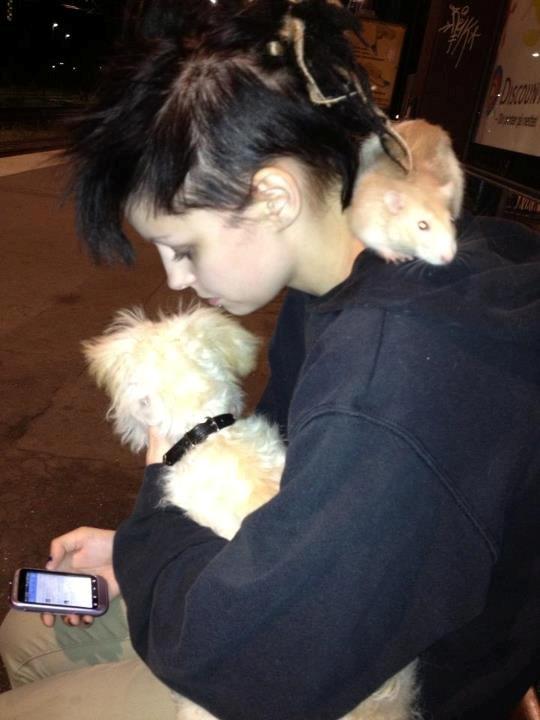 Tamrotte Shinobi billede 5