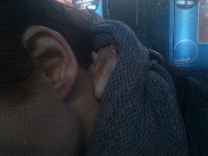 Tamrotte Shinobi billede 16