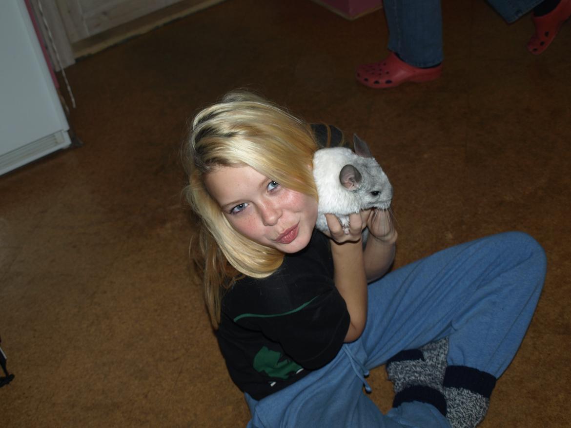 Chinchilla Nica Chin Utopia billede 10