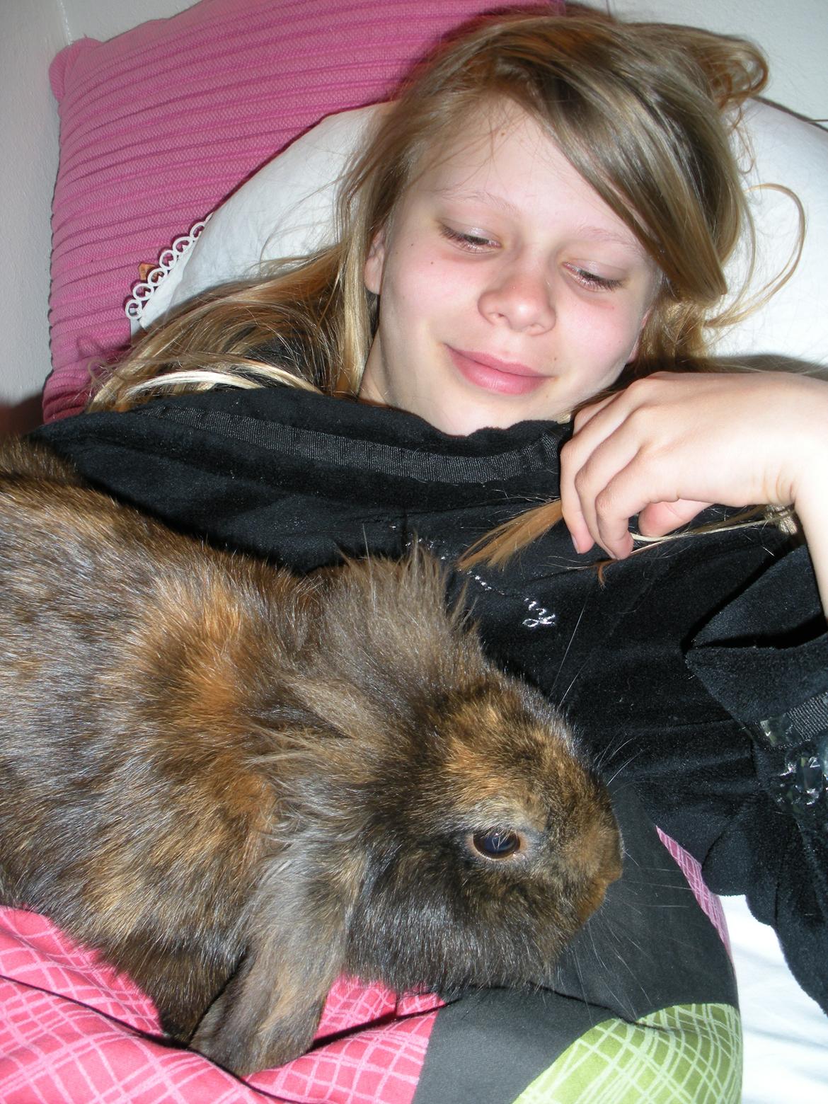 Kanin Stjene billede 2