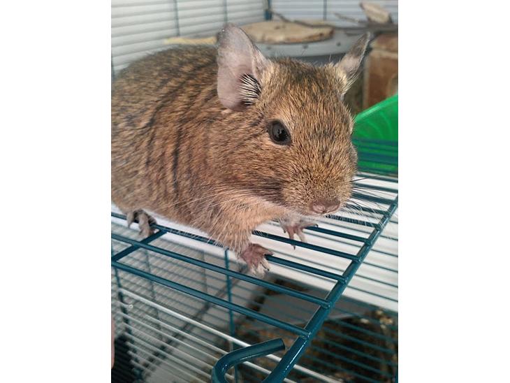 {{currentPhoto.altText}} billede {{currentPhoto.number}}