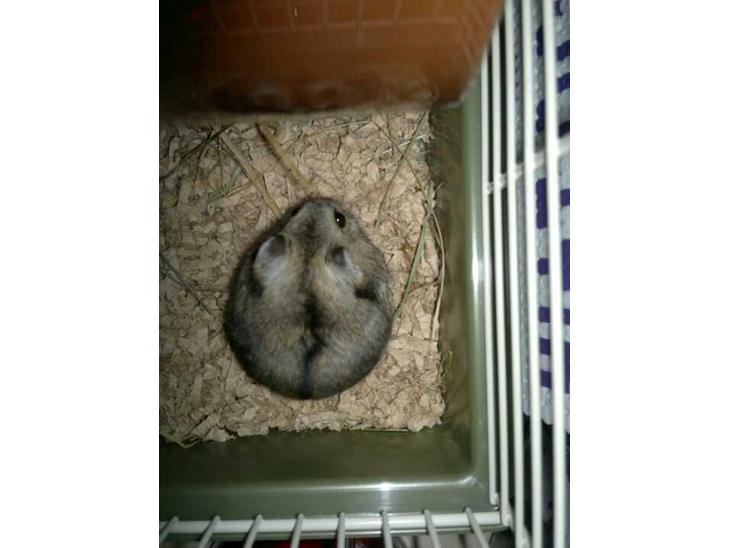 {{currentPhoto.altText}} billede {{currentPhoto.number}}