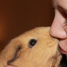 Marsvin Mulle *My Soulmate* R.I.P <3