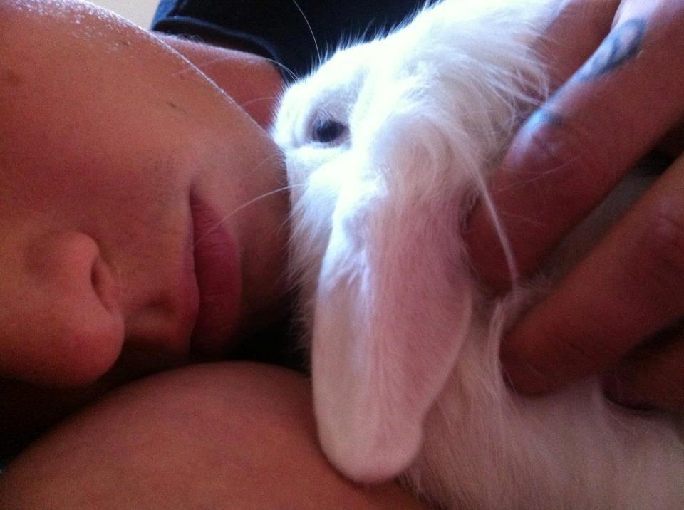 Kanin Malthe billede 13