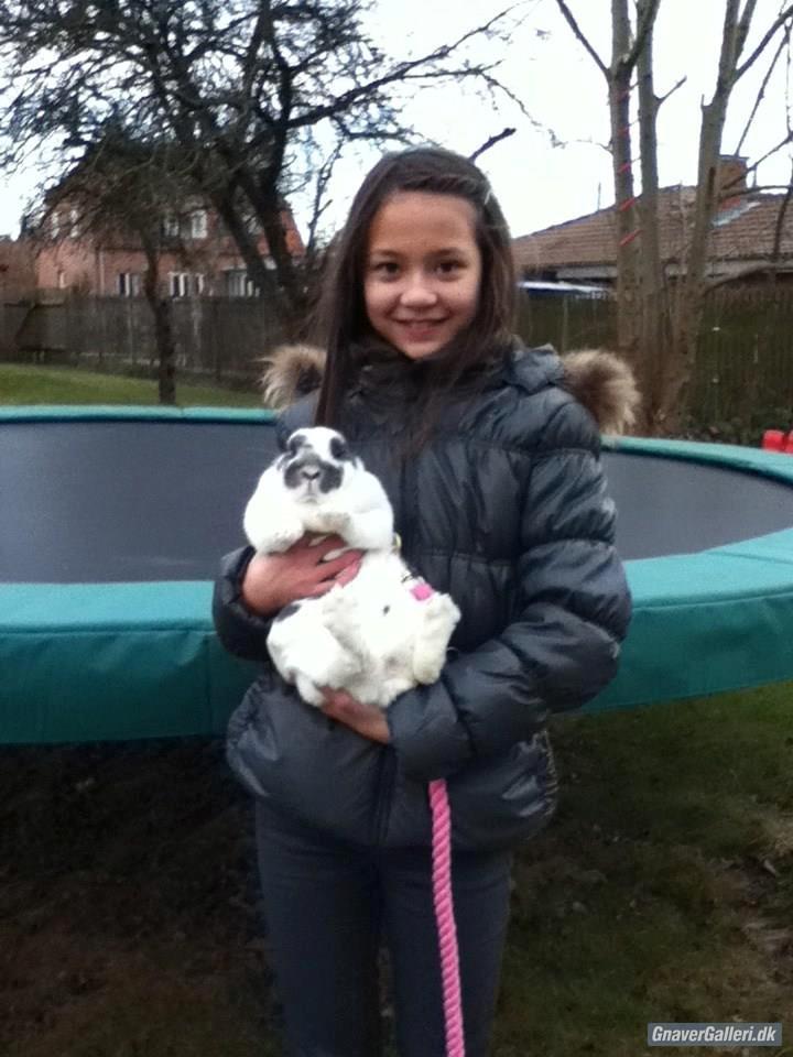 Kanin Chili!<3 billede 6