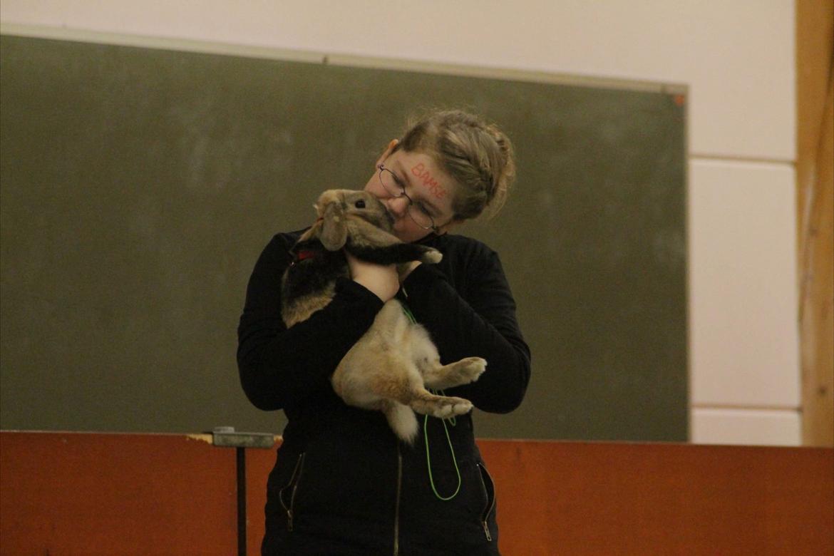 Kanin Æblehavens Zorra. - Zorra&Mig.
Nustrup 24-25 November.
 billede 14