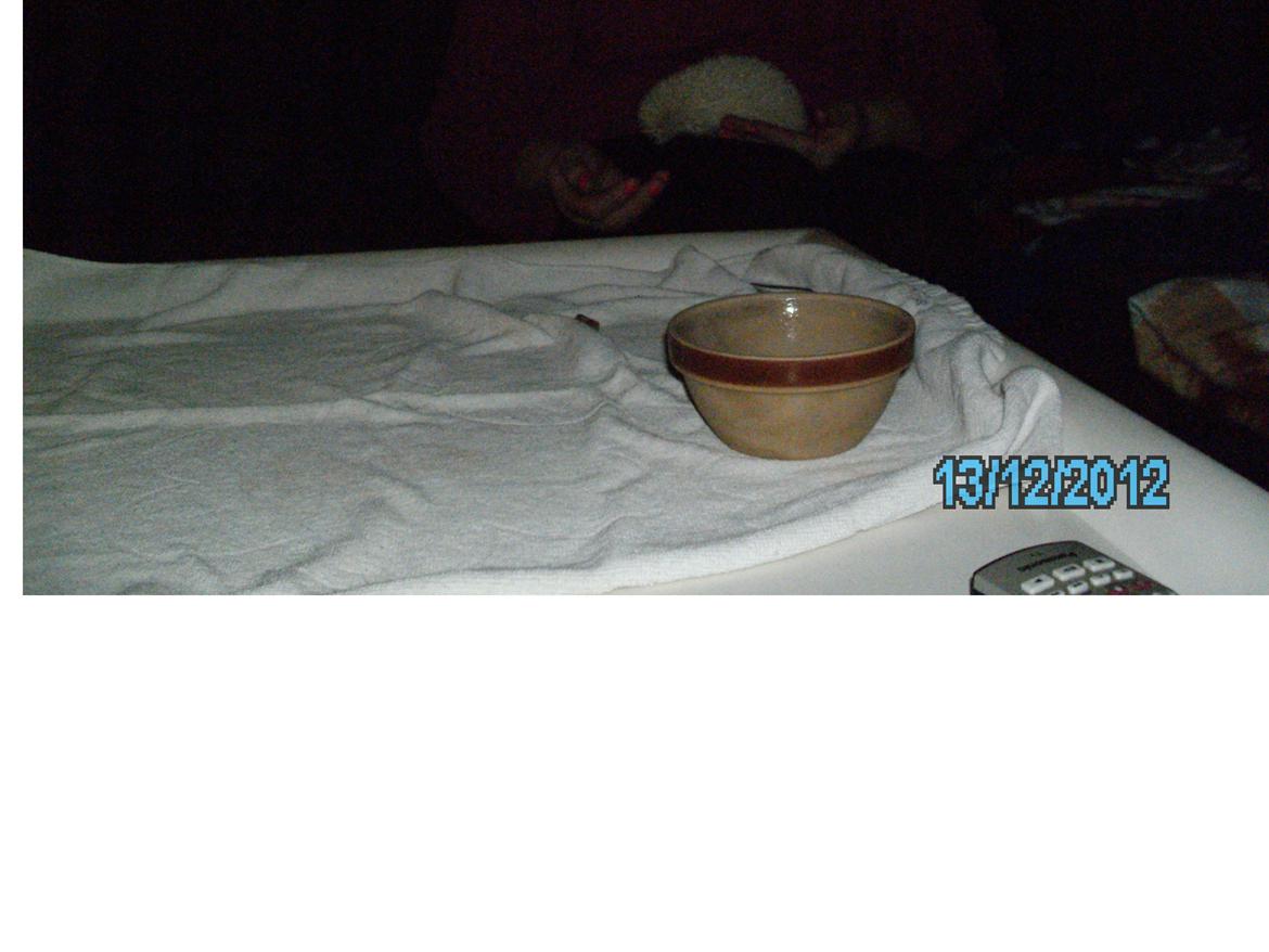 Pindsvin sabbils snow whit(lille pigen)død - sikke tam kælen man er blevet dec 2012 billede 5