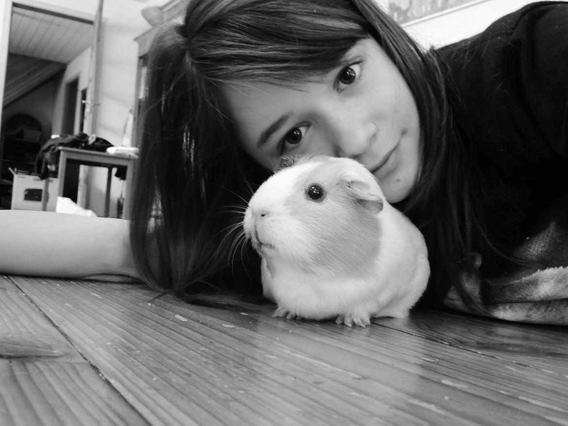 Marsvin Merle - Merle og mig!:D<3 billede 3