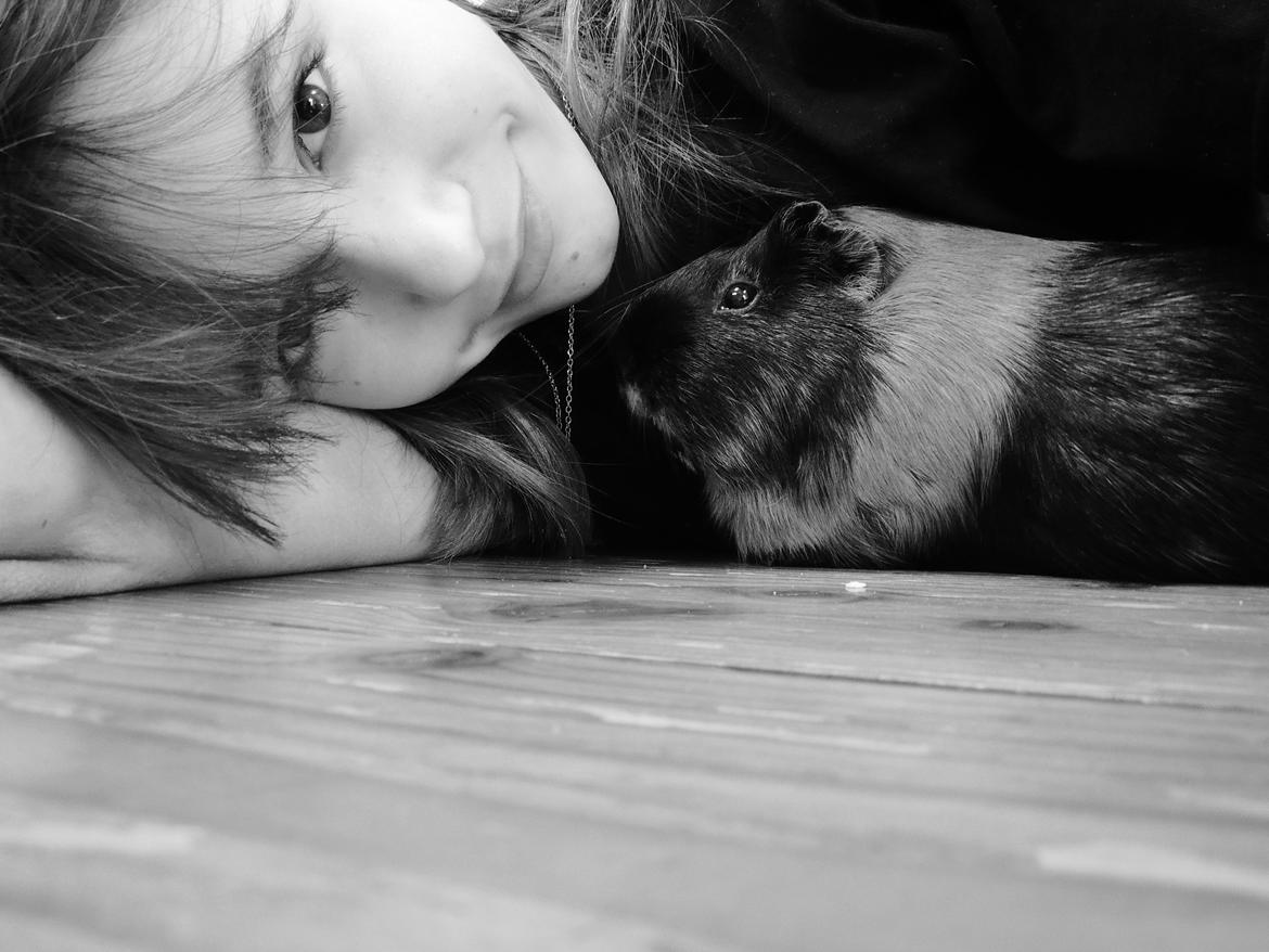 Marsvin Putte - Putte og mig!<3 billede 8