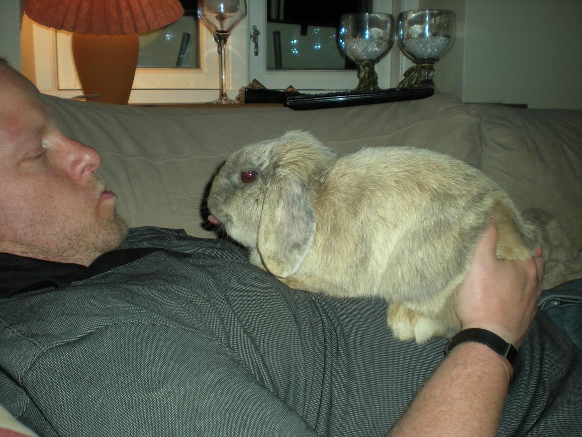 Kanin Nuser - Nuser og farmand Brian billede 16