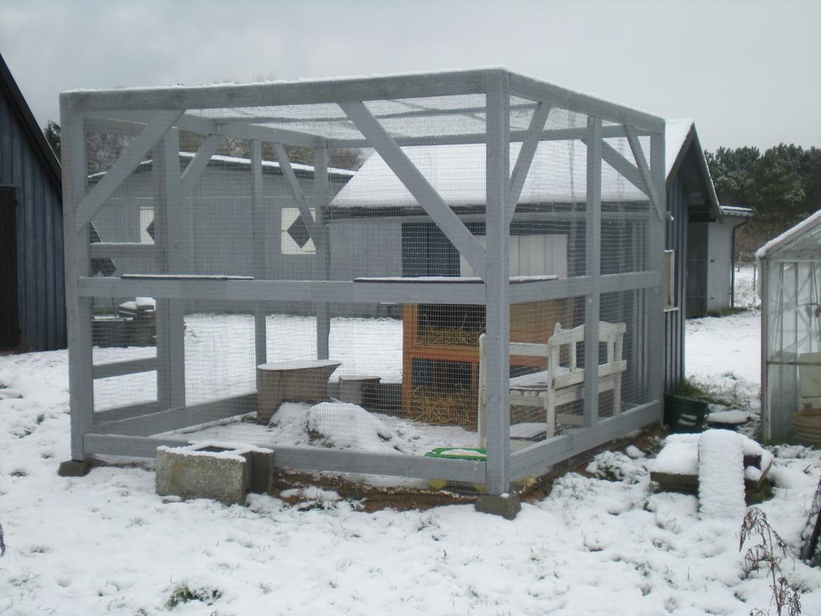 Kanin Nuser - Nusers bolig :-)
vinteren 2012 billede 18