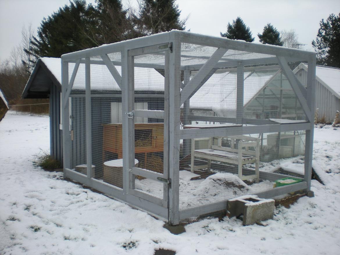 Kanin Nuser billede 19