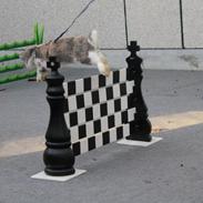 Kanin Hønsehusets Never Fear