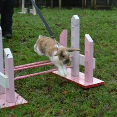 Kanin Sommerly´s Cuba Lime & Lemon