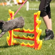 Kanin stald twisters blue berry nice