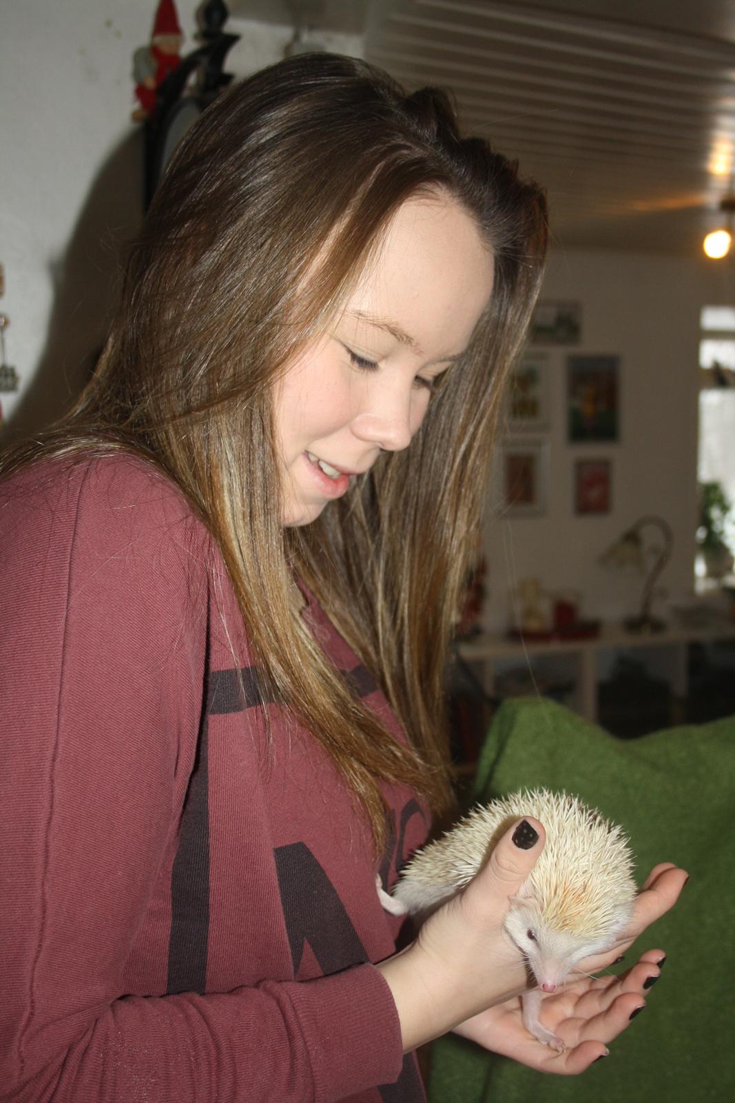 Pindsvin Sabbils Spotty billede 6