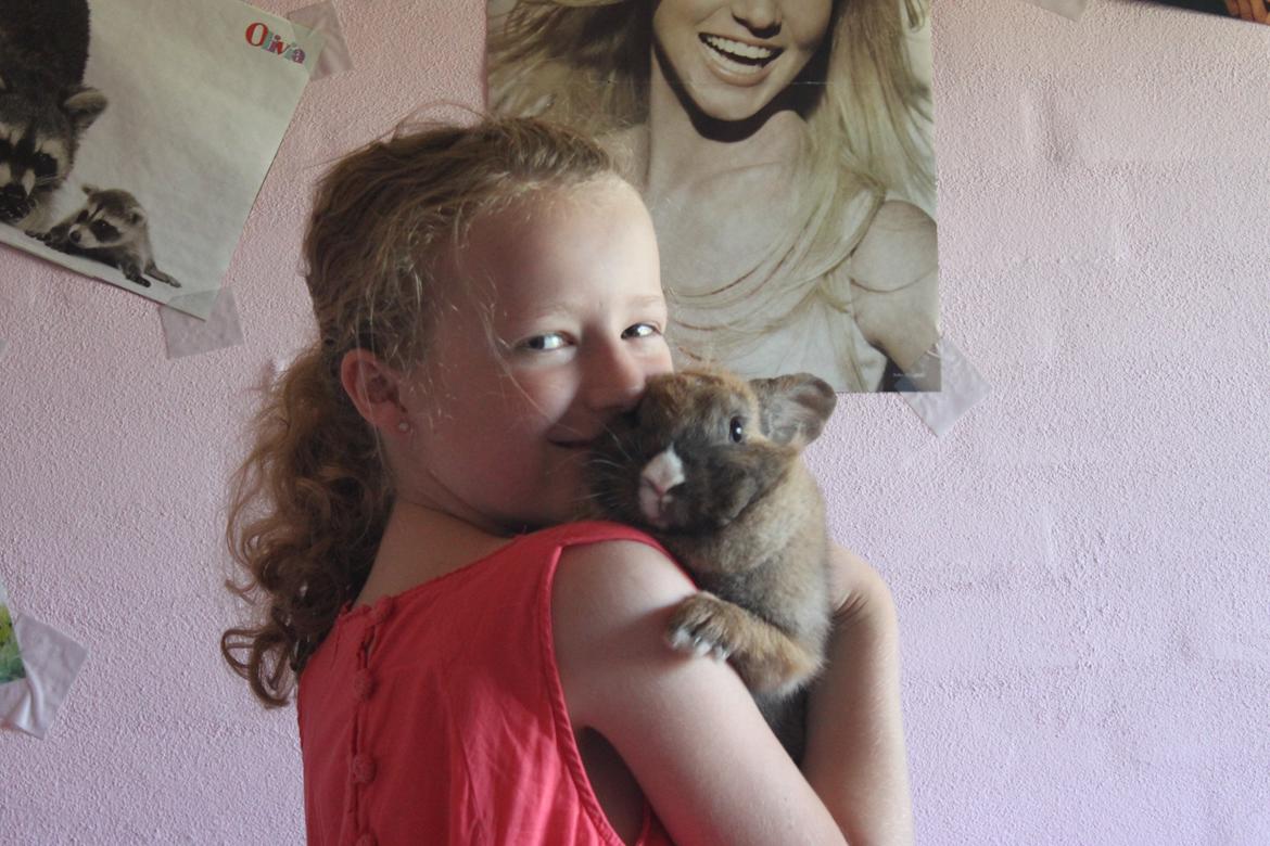 Kanin Teglgårds Ninus II *My Angel* - Tag jer ikke af mig xb billede 20