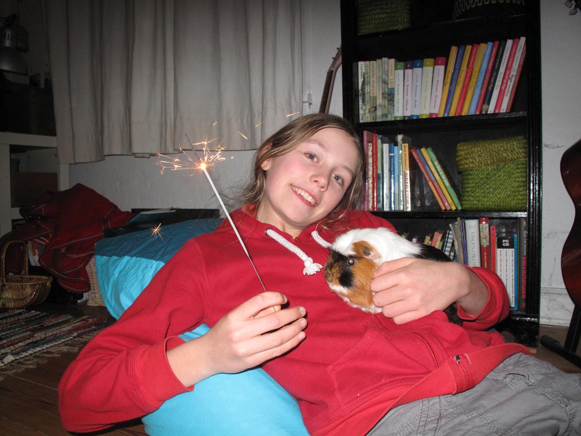 Marsvin Lillefod <3 † Du vil altid været savnet † - Nytårsaften 2012-2013 billede 17