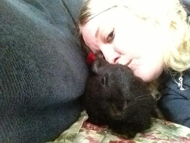 Kanin Molly billede 16