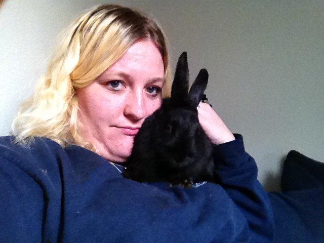 Kanin Molly billede 17