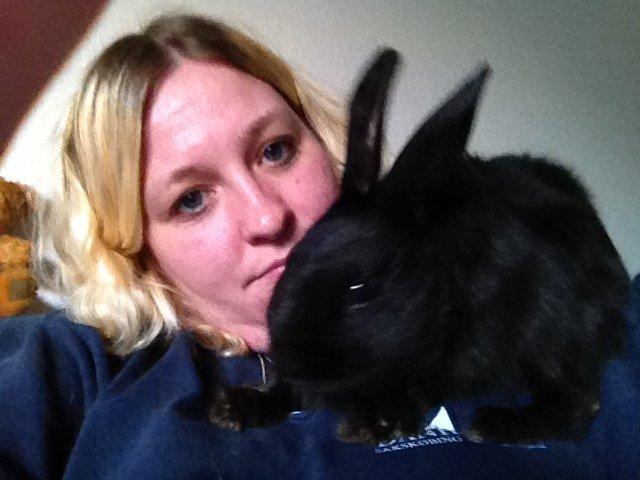 Kanin Molly billede 18