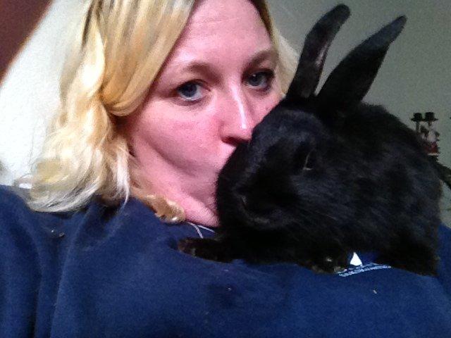 Kanin Molly billede 19