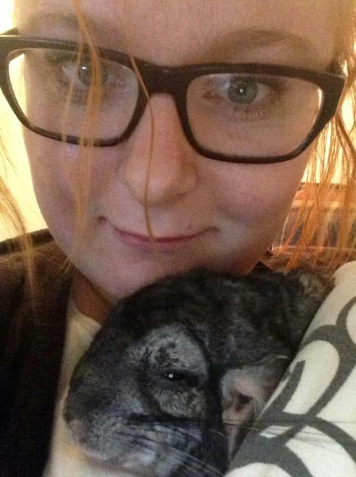 Chinchilla Fede/Klaus - Klaus <3  billede 1