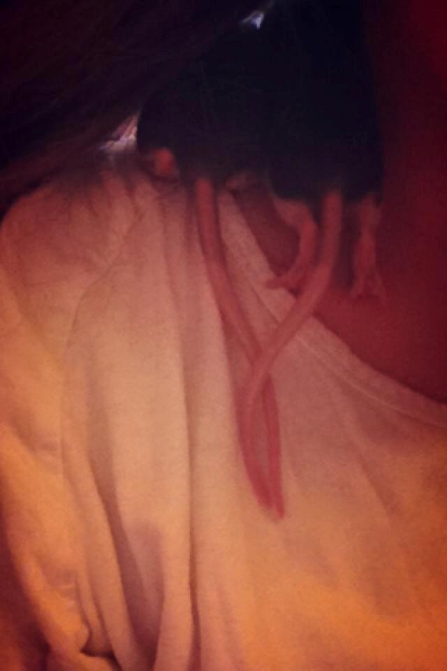 Tamrotte | Lexie billede 8