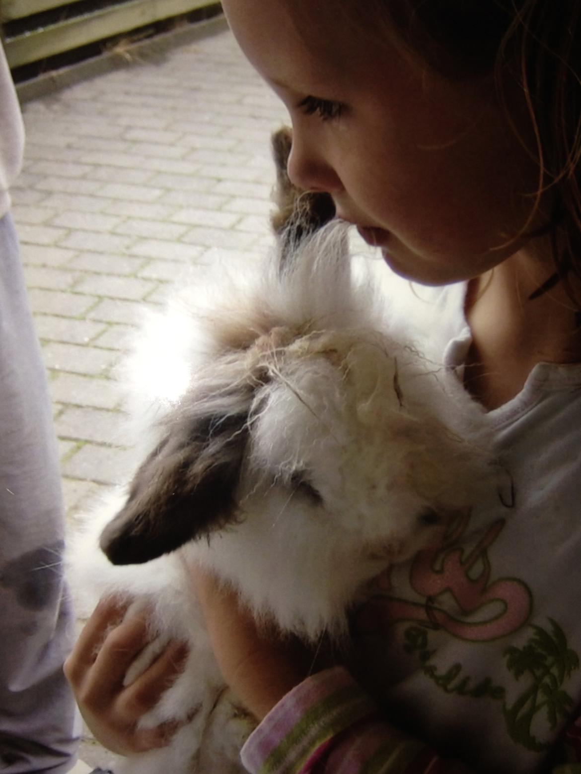 Kanin pjuske - goodbye vi ses i himlen en dag!!<3  billede 3