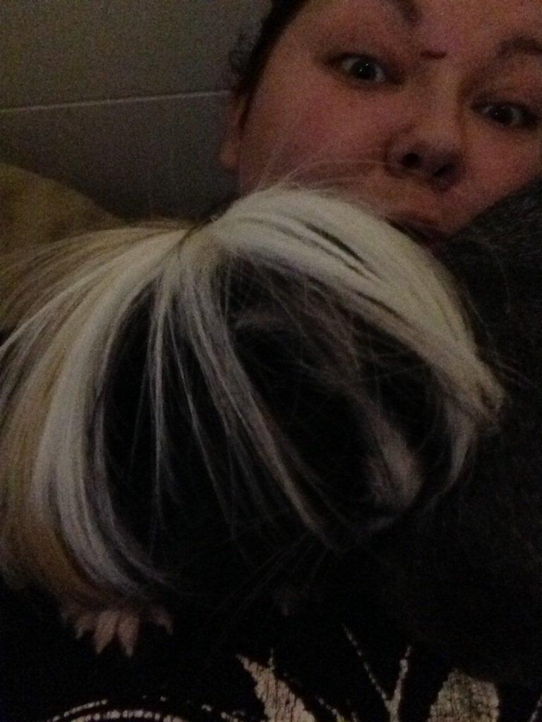 Marsvin Daddy<3 - Punker Daddy billede 3