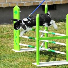 Kanin Bellas Someone In The Dark af Levade