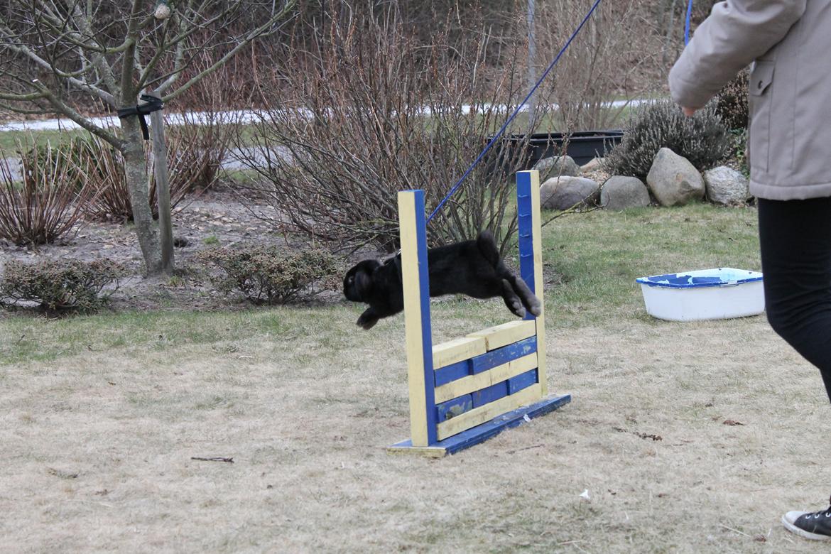 Kanin Wraae's Raiders Of The Lost Ark billede 7