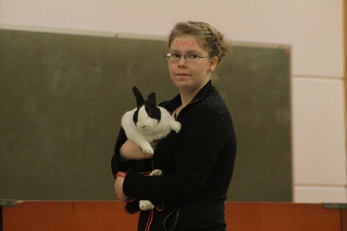 Kanin Surprise Chiaka - Tykke&Bamse. ♥♥
Nustrup 2012. billede 13