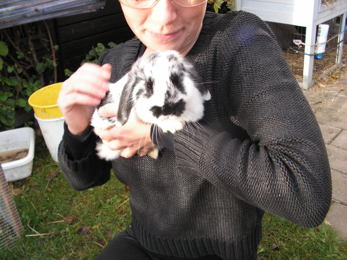 Kanin Junior - Junior og min mor. billede 4