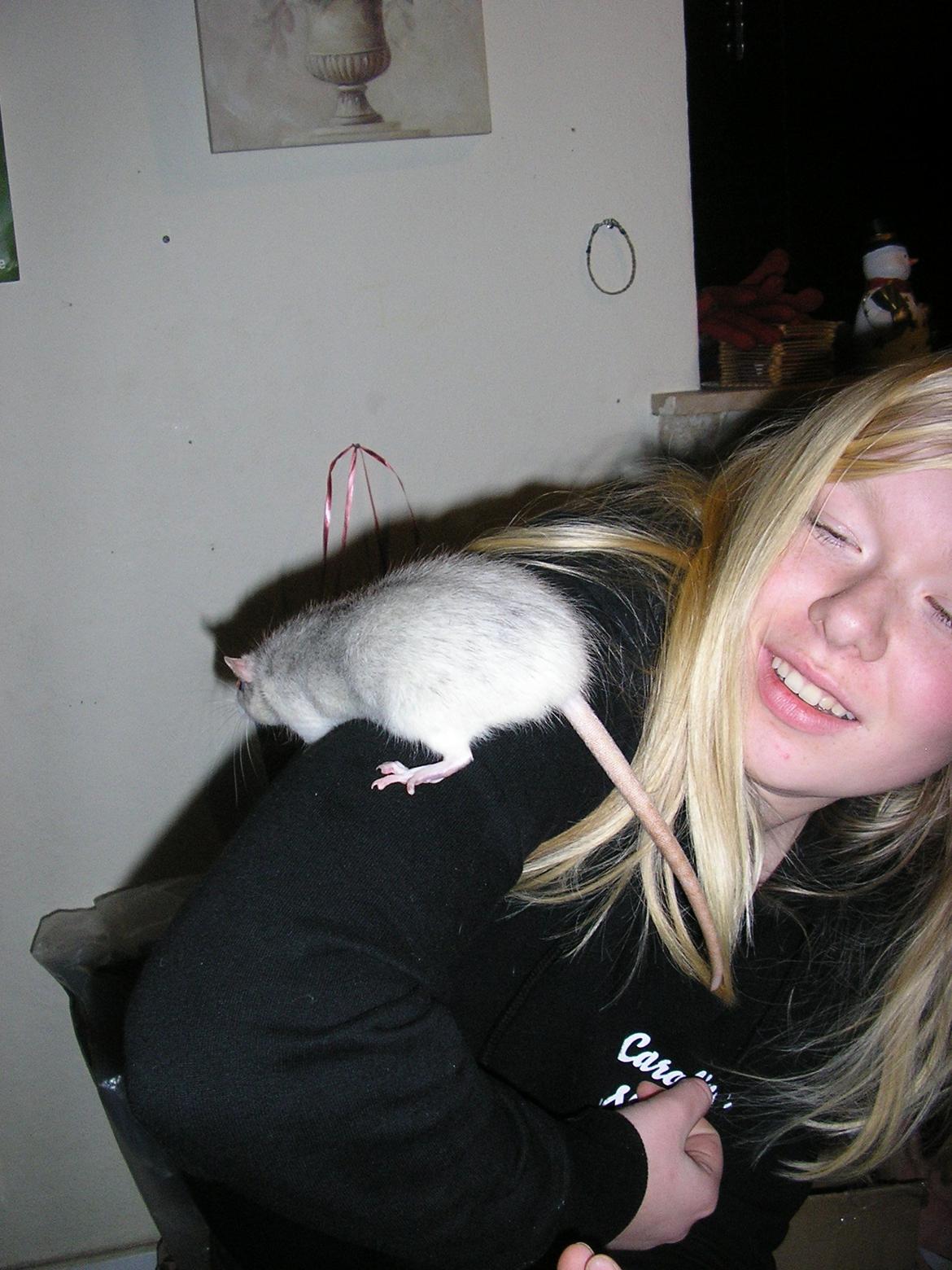 Tamrotte Lisa - Lisa på kravletur :3 billede 4