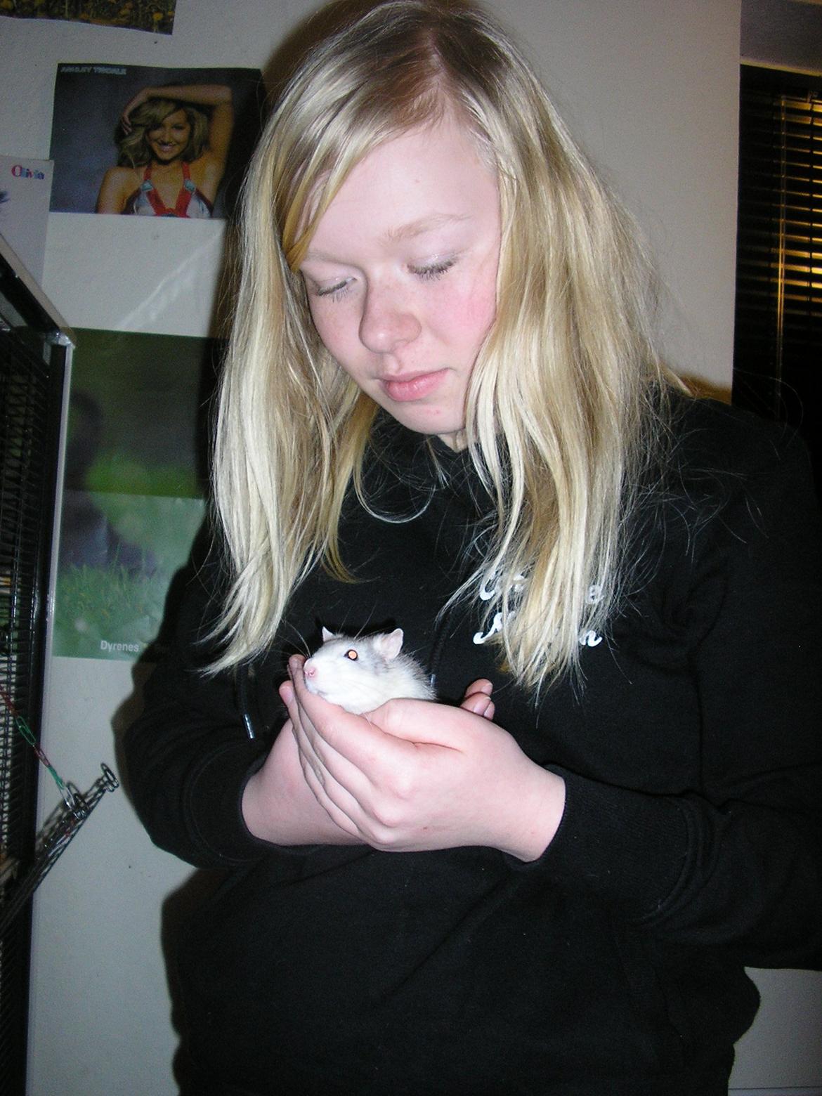 Tamrotte Lisa - Lisa i mine hænder billede 5