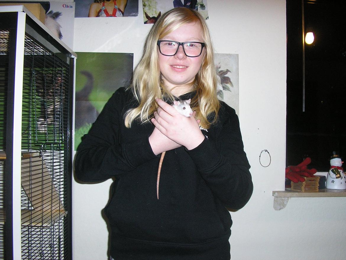 Tamrotte Lisa - Kigger sig lige lidt omkring :) billede 7