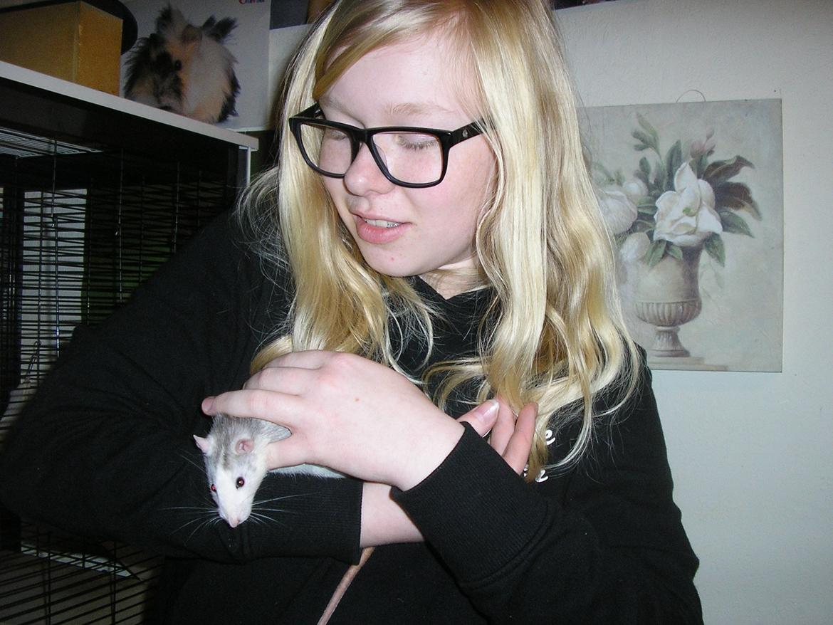 Tamrotte Lisa - Nu smutter jeg lige... billede 8