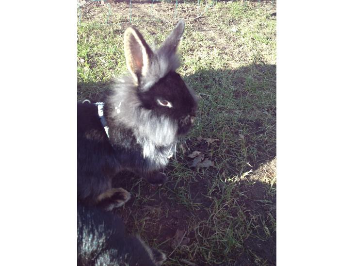 {{currentPhoto.altText}} billede {{currentPhoto.number}}