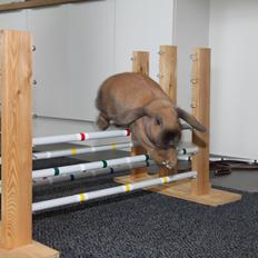 Kanin Cathrine Zeta Jones "Zeta"