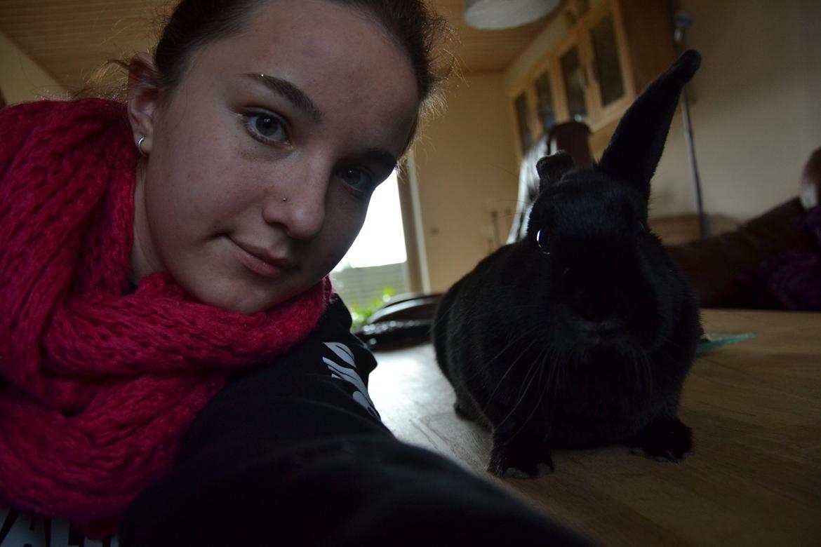 Kanin Nikki Ebony † 10/09-13 † - Min babyyyyy. ♡ billede 8