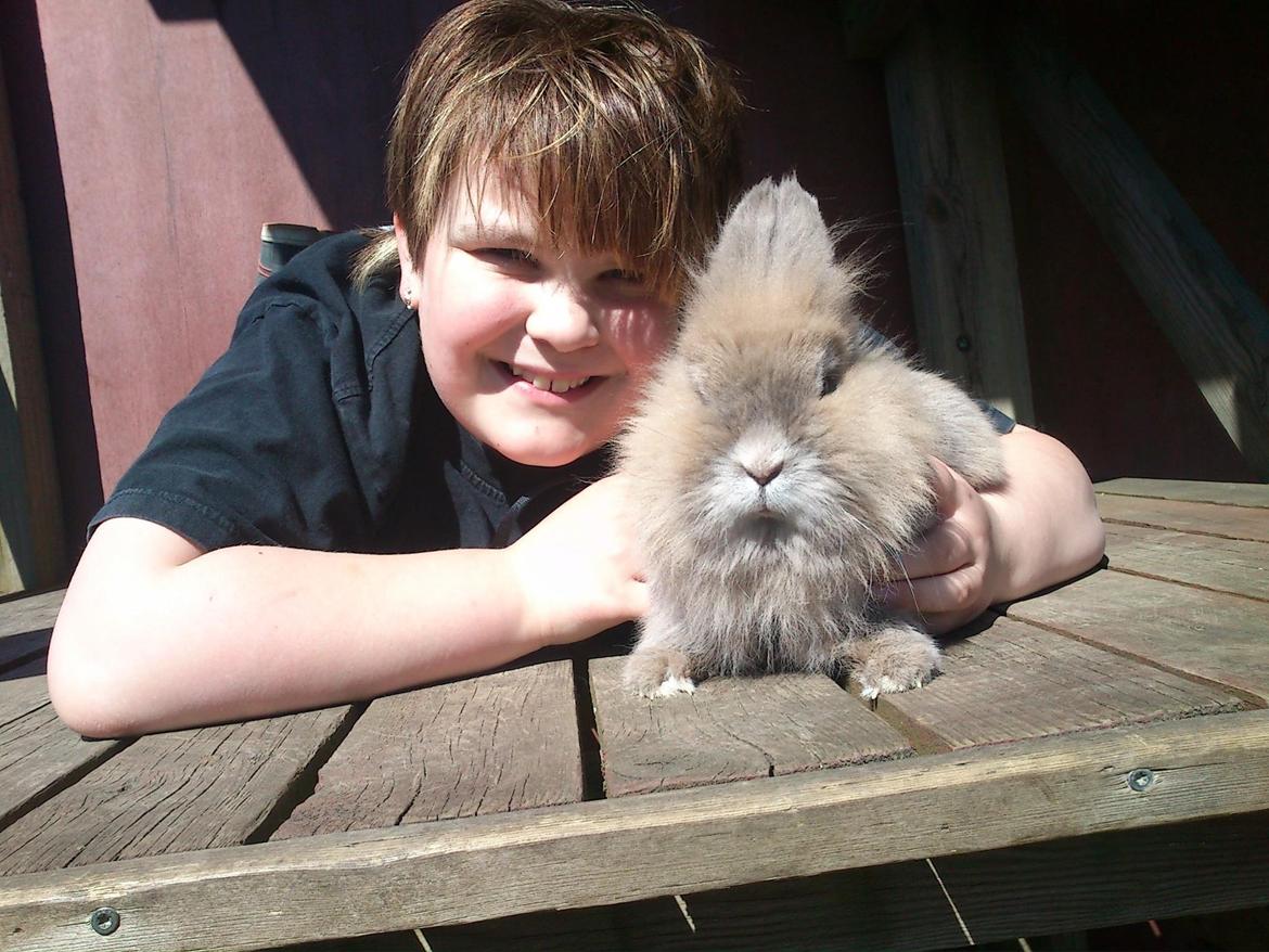 Kanin Bella - det her er bella for to år siden.:)<3 billede 2