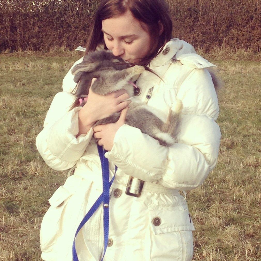 Kanin Pebbles *Pebbly* billede 8