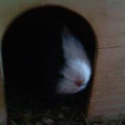 Marsvin Yasmin<3 *R.I.P*