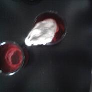 Dværghamster madonna