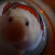 Dværghamster Fede
