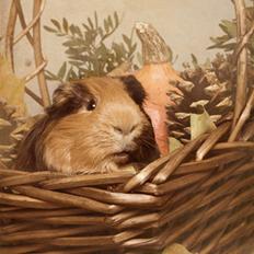 Marsvin † Melvin †