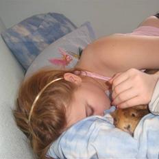 Marsvin Pjuske (tykke)