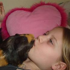 Marsvin Tessa (smukke)